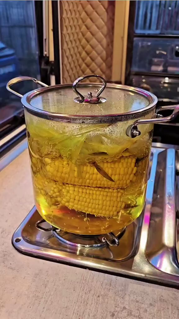 Oală Transparentă din Sticlă Borosilicată 5.5L cu Capac – Zâna Casei, Modernă, Rezistentă la Căldură